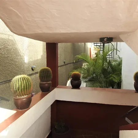 Appartement Apartamento Jardin Paraiso Playa Del Cura (Gran Canaria)